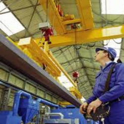 LEEA Overhead Travelling Crane In-house Course